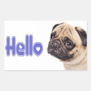 Hallo Mops Welpe Hund Aufkleber / Etikett