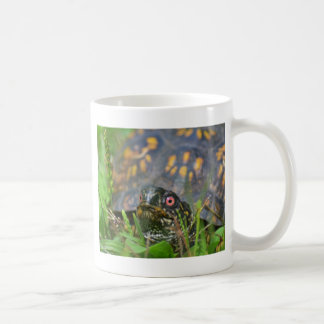 Hallo! Neugierige Schildkröte Kaffeetasse