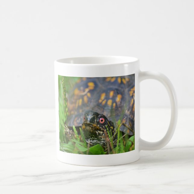 Hallo! Neugierige Schildkröte Kaffeetasse (Rechts)