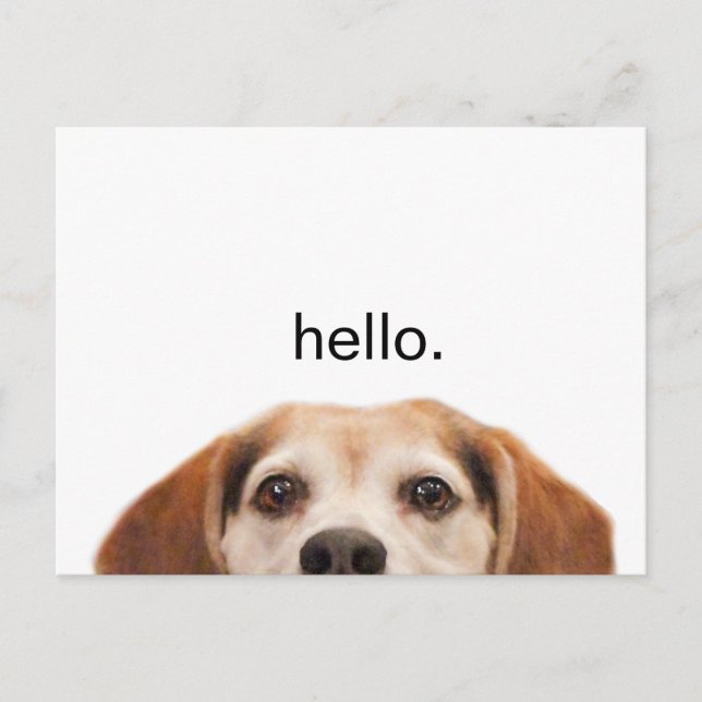 Hallo Niedlich Funny Beagle Dog Moderner Trendy Le Postkarte (Vorderseite)