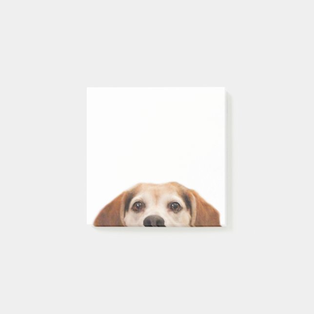 Hallo Niedlich Funny Beagle Dog Modernes Trendy Post-it Klebezettel (Vorderseite)