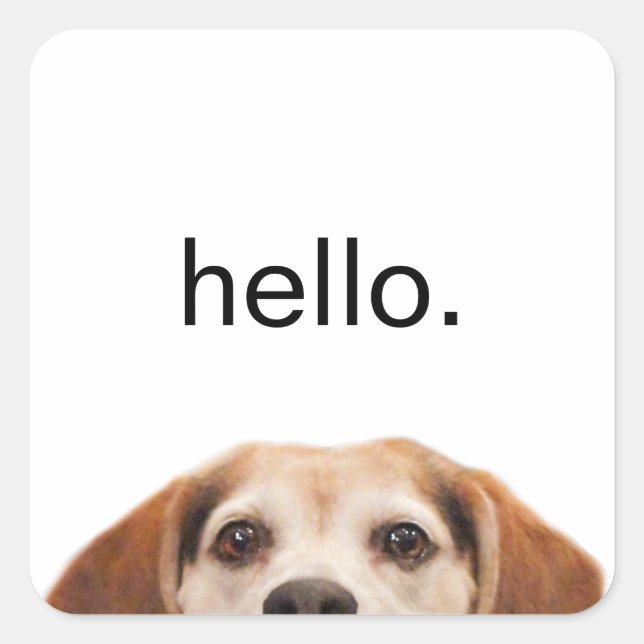Hallo Niedlich Funny Beagle Dog Modernes Trendy Quadratischer Aufkleber (Vorderseite)