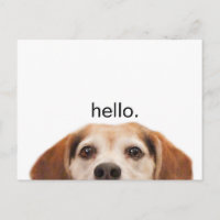 Hallo Niedlich Funny Beagle Dog Nose