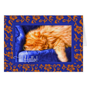Hallo! Orange Tabby Cat Blue