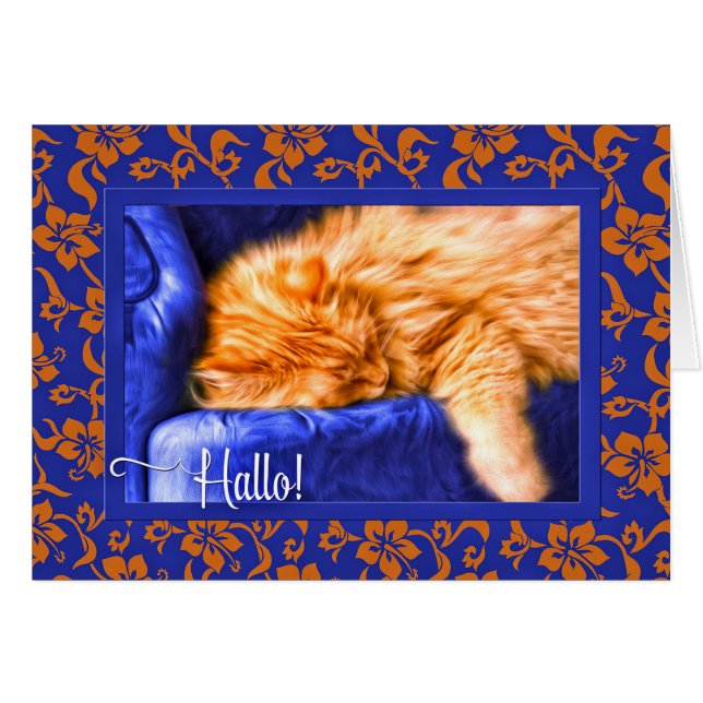 Hallo! Orange Tabby Cat Blue (Vorderseite (Horizontal))