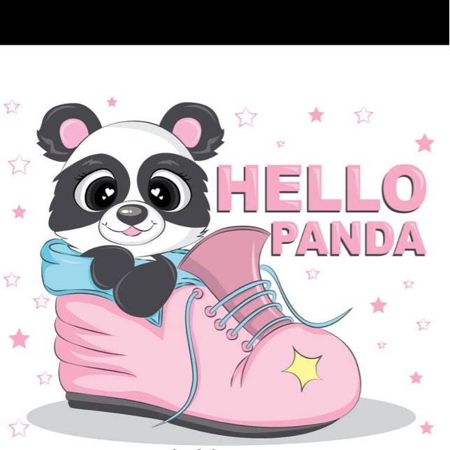 Hallo Panda T-Shirt (Illustration of a cartoon panda bear sitting inside a pink shoe with blue trim and laces!)