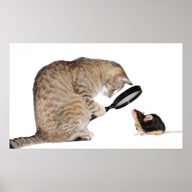 Hallo! Poster (Vorne)