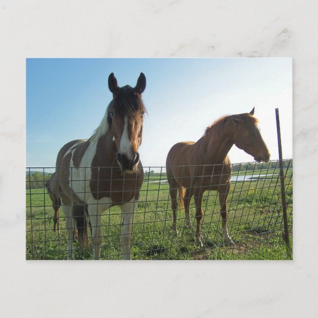 Hallo Postkarte (Vorderseite)