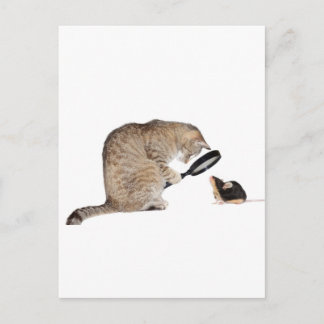 Hallo? Postkarte