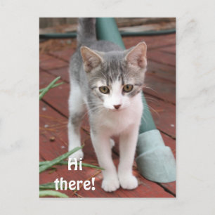 Hallo! Postkarte