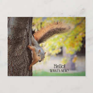 Hallo, Postkarte eintragen