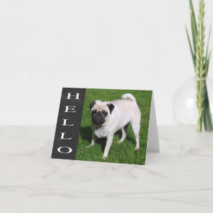 Hallo Pug Welpe Hund Schiefertafel Leere Notizkart Karte