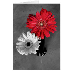 Hallo rote Farbklecks Gerber-Marguerite Foto