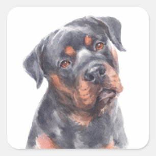 Hallo Rottie Puppy Dog Watercolor Rottweiler Quadratischer Aufkleber