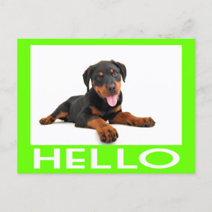 Hallo Rottweiler Welpe Hund Gruß Postkarte