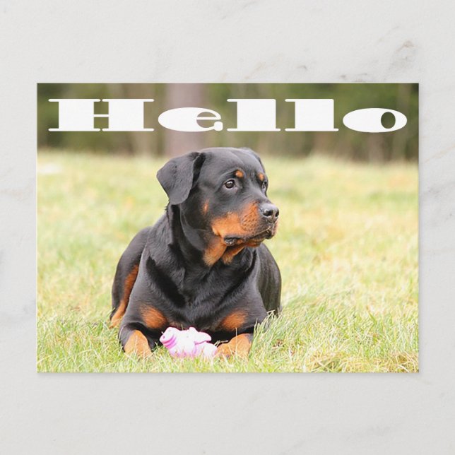 Hallo Rottweiler Welpe Hund Gruß Postkarte (Vorderseite)