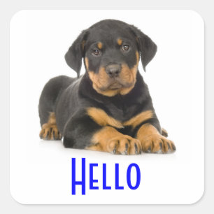 Hallo Rottweiler Welpe Hund Gruß Stickers