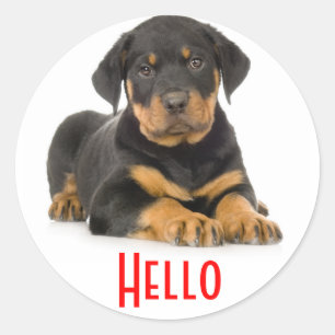 Hallo Rottweiler Welpen Hund Gruß Aufkleber
