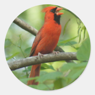 Hallo! Runder Aufkleber