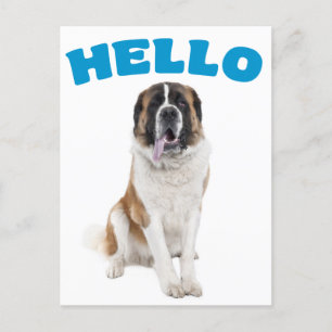 Hallo Saint Bernard Puppy Dog Blue Postcard Postkarte