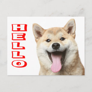 Hallo Shiba Inu Welpen-Hunde-Grußpostkarte Postkarte