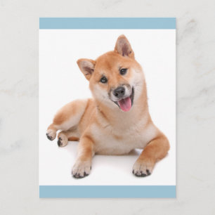 Hallo Shiba Inu Welpen-Hunde-Grußpostkarte Postkarte