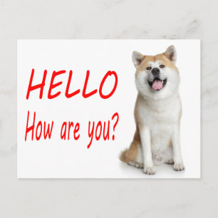 Hallo Shiba Inu Welpen-Hunde-Grußpostkarte Postkarte