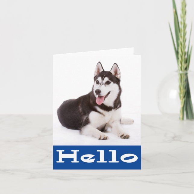 Hallo Siberische Husky Welpe Hund Blank Notizkarte Karte (Vorderseite)