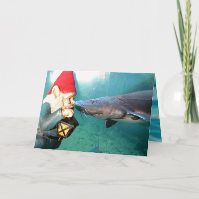 Hallo Sir II Karte (Vorderseite)