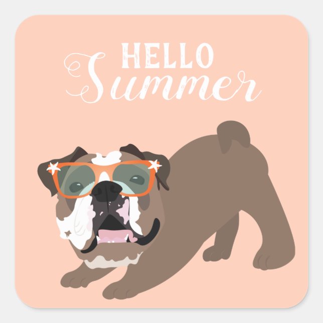 Hallo Sommer Englisch Bulldog Orange Quadratischer Aufkleber (Vorderseite)