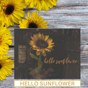 Hallo Sonnenblume Vintage Postkarte