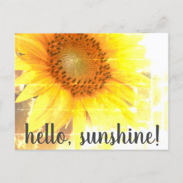 "Hallo, Sonnenschein!" Abgeblendete Sonnenblume Po Postkarte
