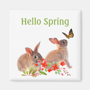 Hallo Spring Bunny Rabbit und Butterfly Magnet