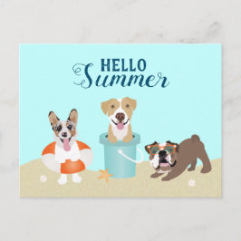 Hallo Summer Beach Hunde Postkarte