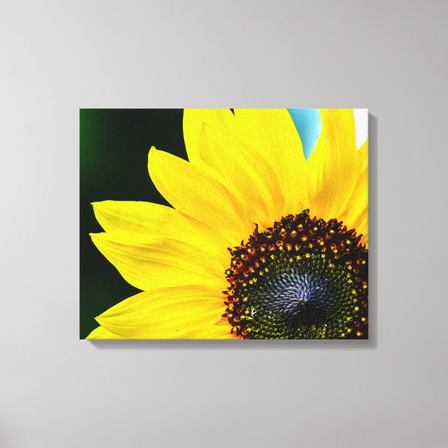Hallo Sunshine Sonnenblume Leinwanddruck (Vorderseite)
