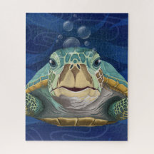 Hallo Turtle