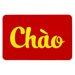 Hallo ~ Vietnam / Vietnamesisch / Tiếng Việt Magnet