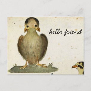 hallo Vogelfreund Postkarte