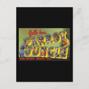 Hallo vom Papageien-Dschungel Postkarte