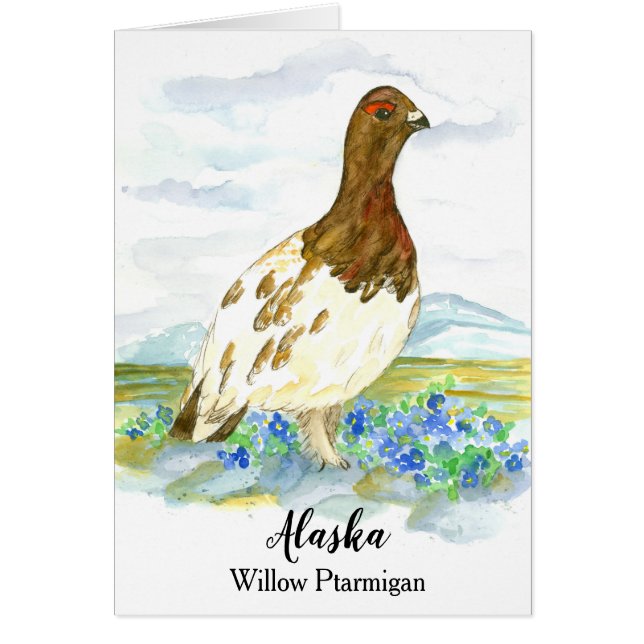 Hallo von Alaska Willow Ptarmigan Blank (Vorne)