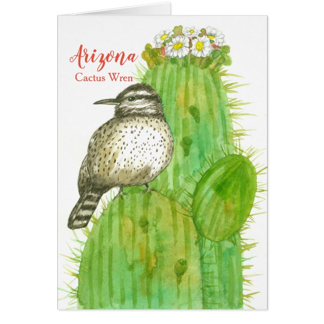 Hallo Von Arizona Cactus Wren Saguaro (Vorne)