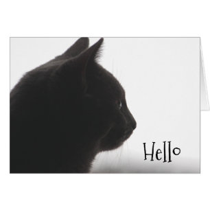 Hallo von einer Kätzin