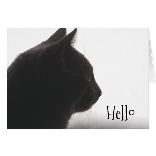 Hallo von einer Kätzin (Vorderseite (Horizontal))