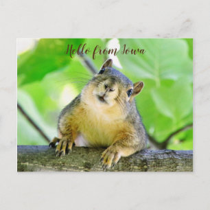 Hallo von Iowa Postcard Postkarte