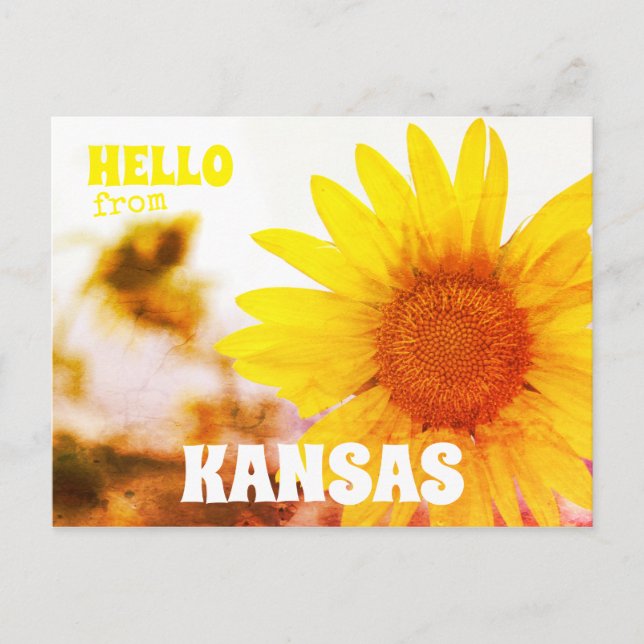 Hallo von Kansas Sonnenblume Postkarte (Vorderseite)