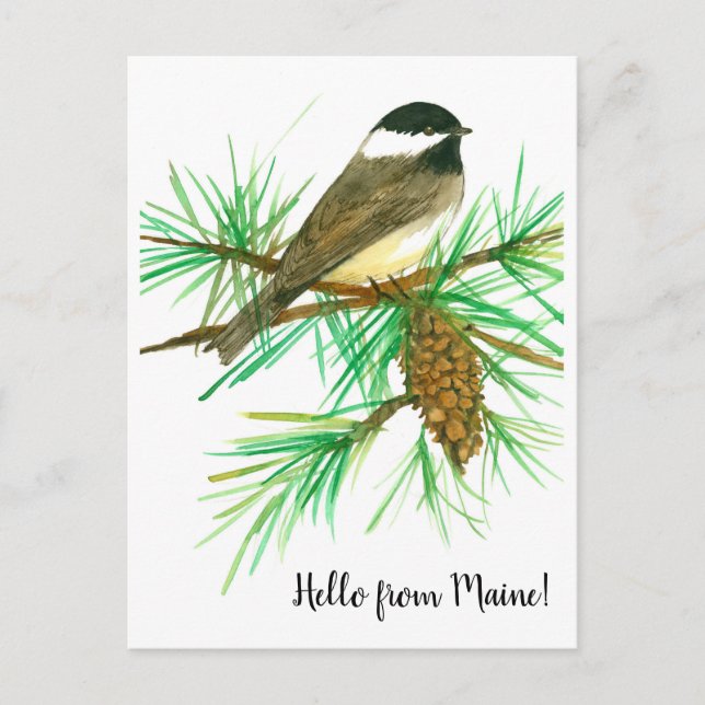 Hallo von Maine Black Capped Chickadee Bird Postkarte (Vorderseite)