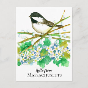 Hallo von Massachusetts Chickadee Mayflower Postkarte