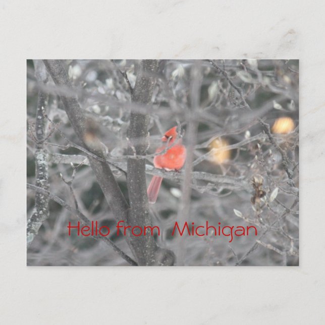 Hallo von Michigan Postkarte (Vorderseite)