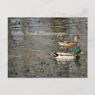 Hallo Von Mississippi! Postkarte