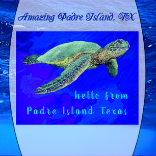 Hallo von Padre Island TX Ocean Blue Sea Turtle Postkarte